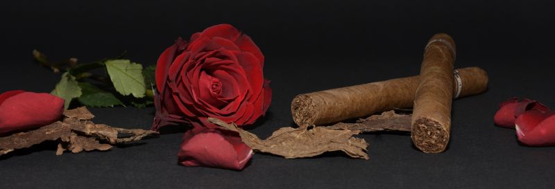 黑色背景中的玫瑰和雪茄