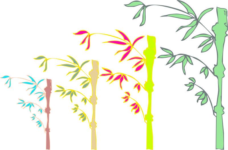 几种颜色的竹子