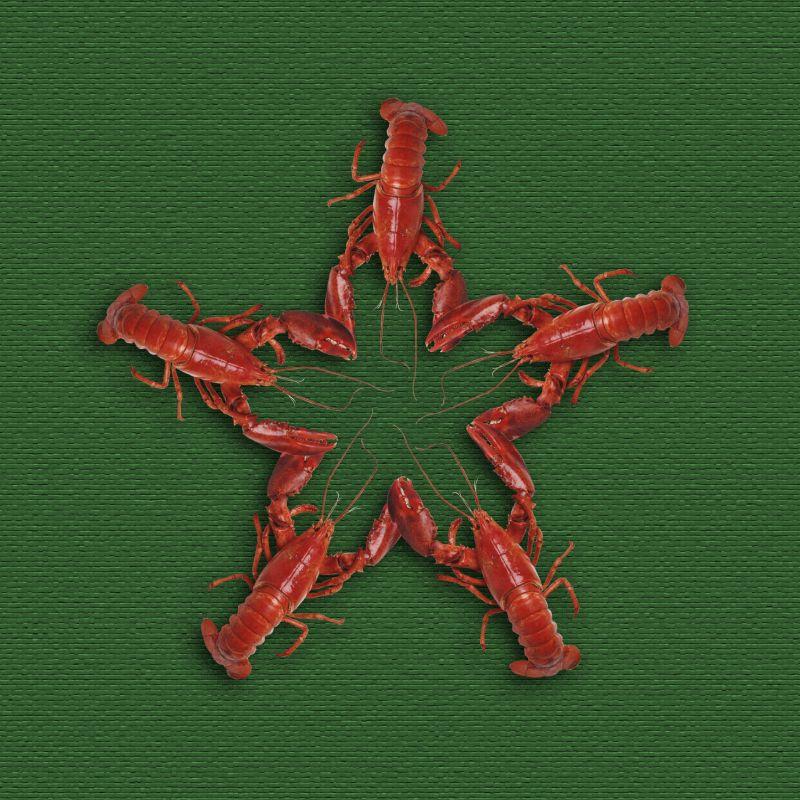 绿色背景上用小龙虾组成的图案