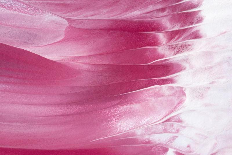 漂亮的玫粉色抽象纹理背景