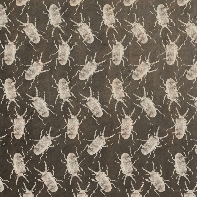 甲虫图案背景