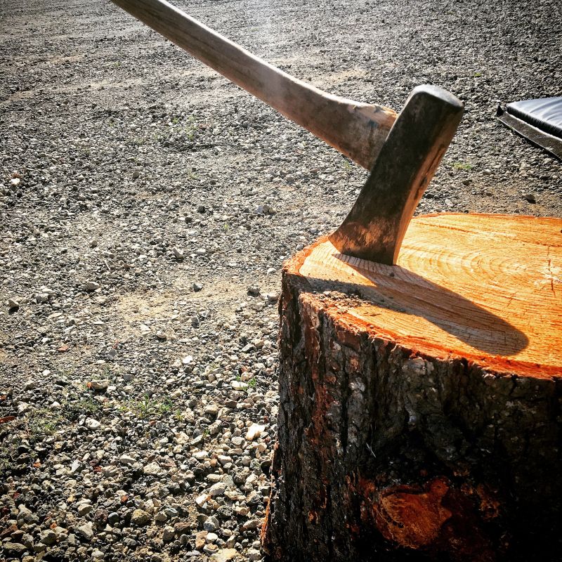 砍树桩的斧子