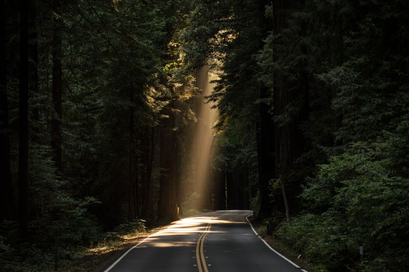 林间的道路穿过一缕阳光