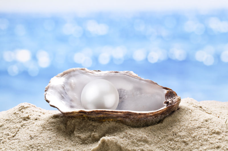 细沙牡蛎里的珍珠