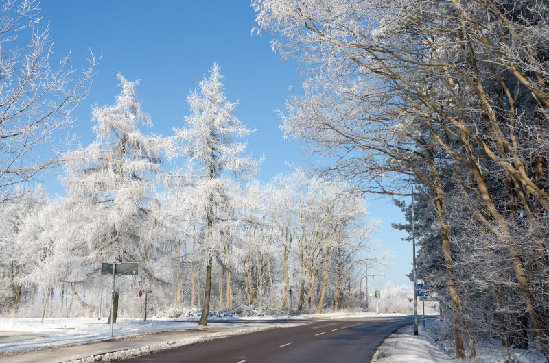 冰雪覆盖的森林公园道路