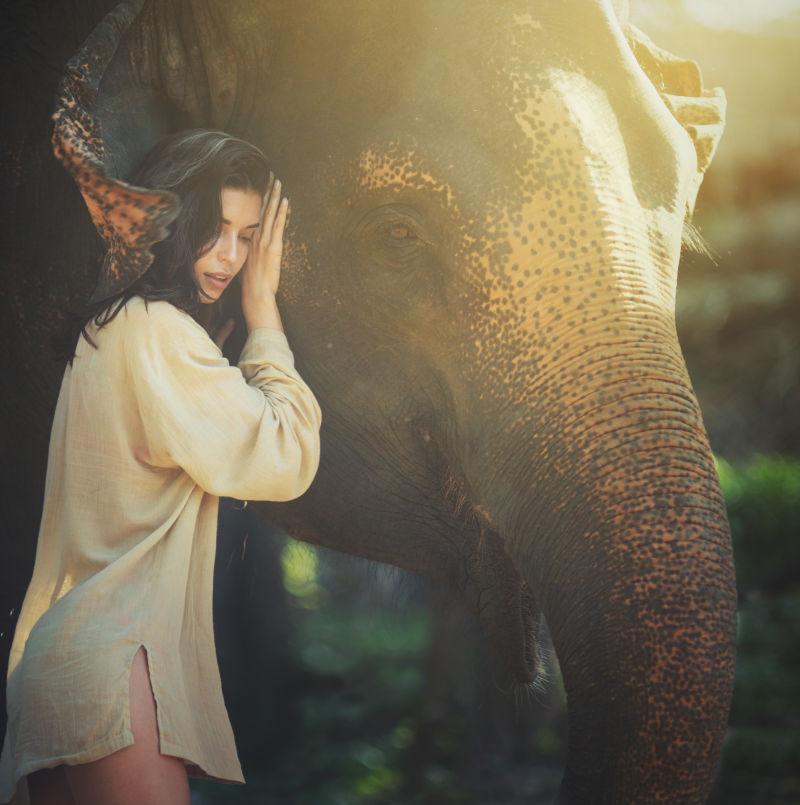 美女和大象亲近