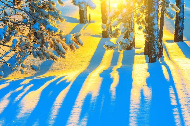 雪景下的阳光
