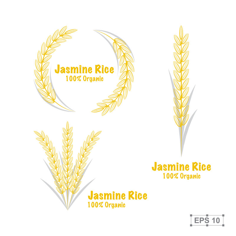 矢量的金色水稻标签设计