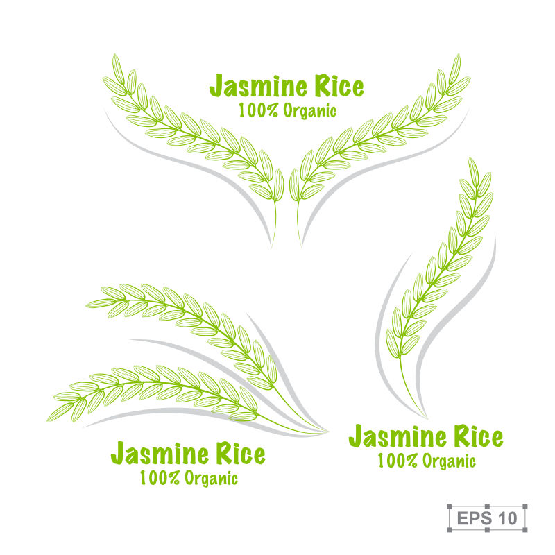 绿色水稻标签矢量设计