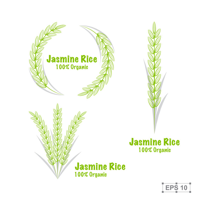 矢量的绿色手绘水稻插图
