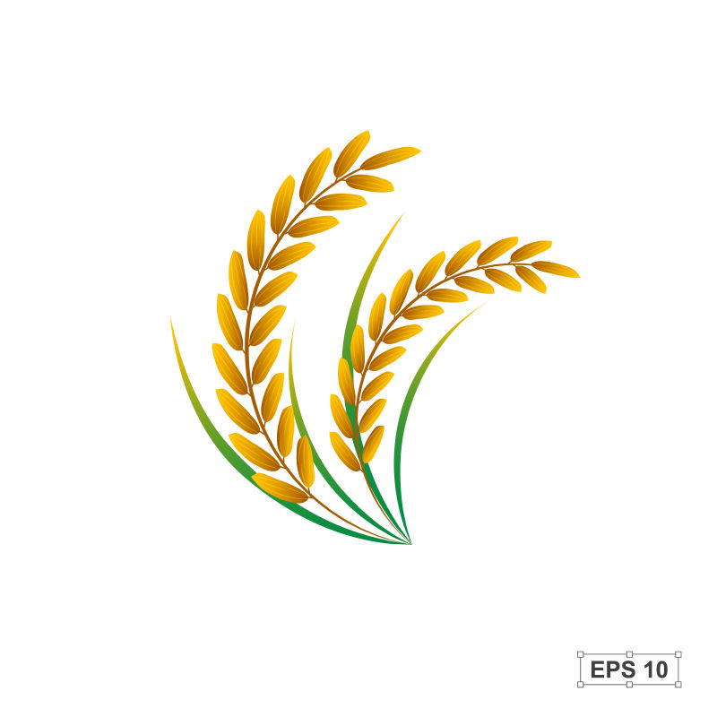 金色的小麦标志矢量设计