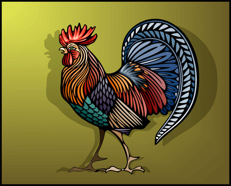 矢量的彩色公鸡插图设计