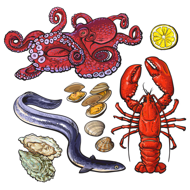 海鲜食物矢量插图