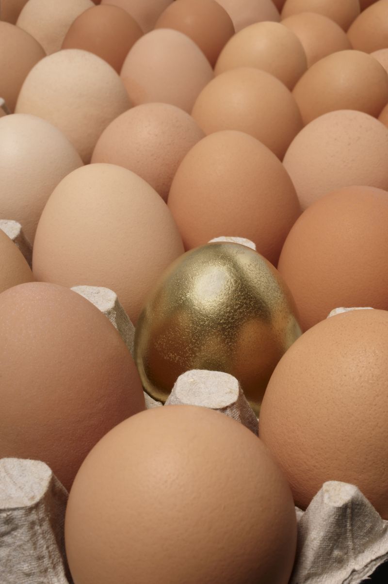 一排鸡蛋里有一个金鸡蛋