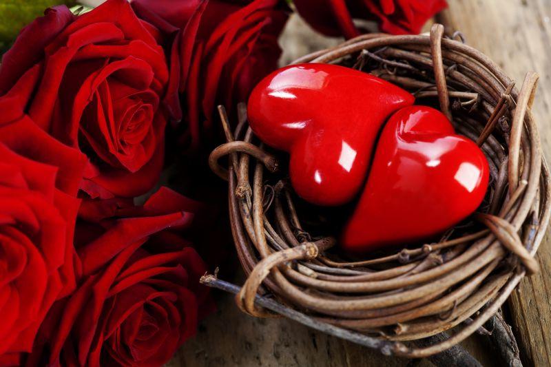 两颗红心在鸟巢和木板上的玫瑰
