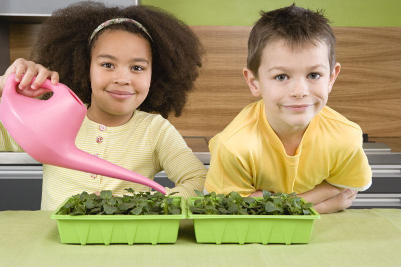 男孩旁边的小女孩在用粉色喷壶浇灌桌子上的绿色植物