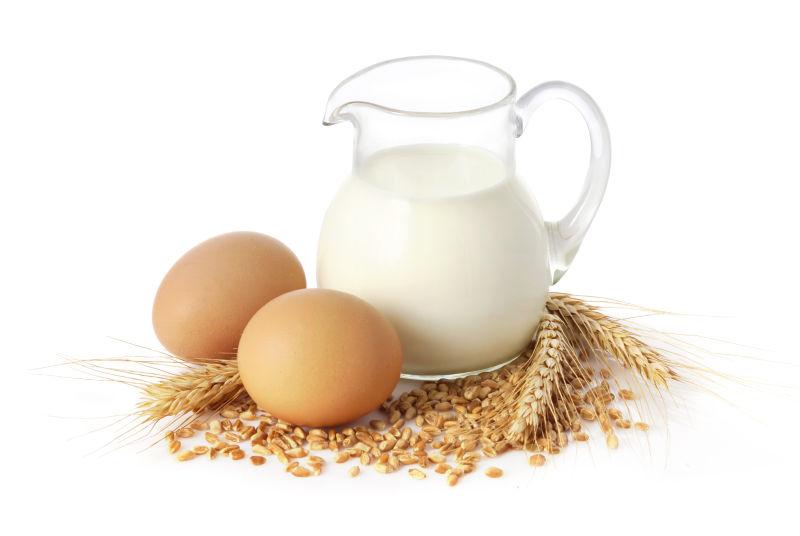 白色背景下的鲜牛奶小麦种子和两个鸡蛋