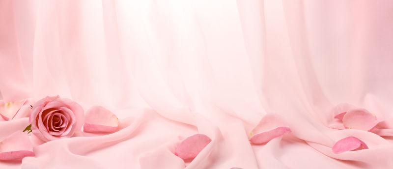 粉色窗帘上美丽的粉色玫瑰花