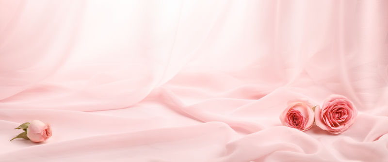 粉色丝绸布上的粉色玫瑰花