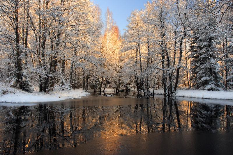 冬季森林与河流