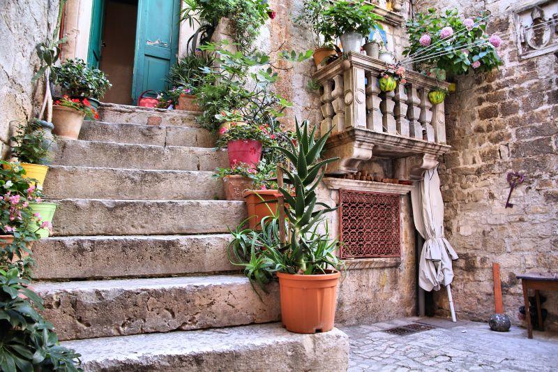 台阶两边放着美丽的植物鲜花