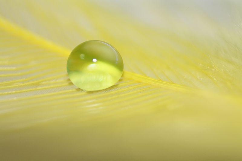 黄色羽毛上的水滴