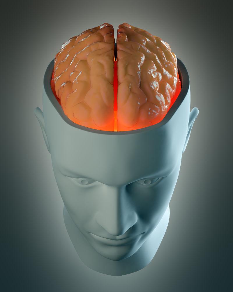 男性头部抽象可见脑头骨