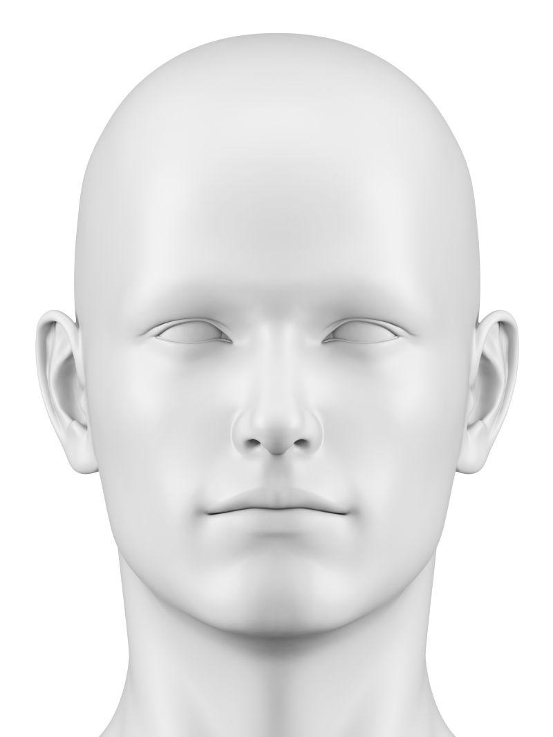 白色背景下的男性3D头骨