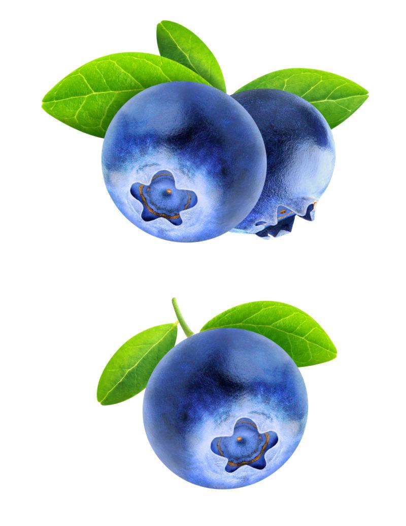白色背景上的两个蓝莓