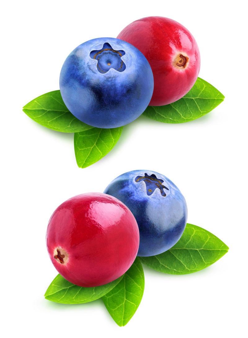白色背景上的蓝莓和越橘