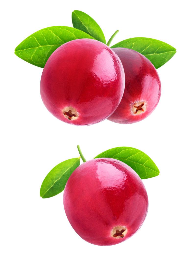 白色背景上两个美味的蔓越莓