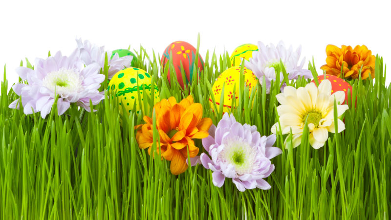 复活节彩蛋和鲜花装饰用品