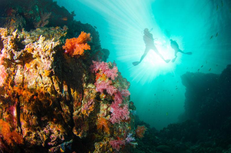 海底世界的珊瑚和潜水员