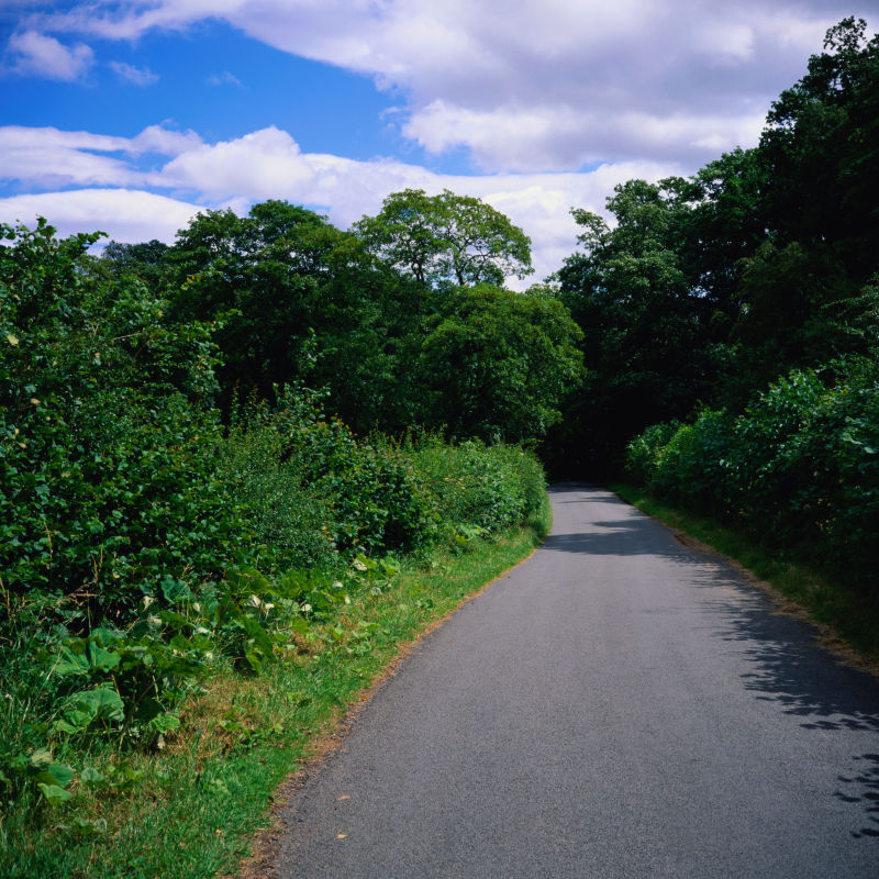 农村的山间小路