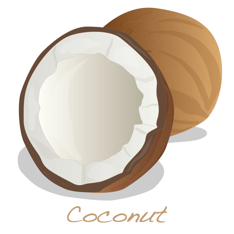 矢量创意新鲜椰子的插图