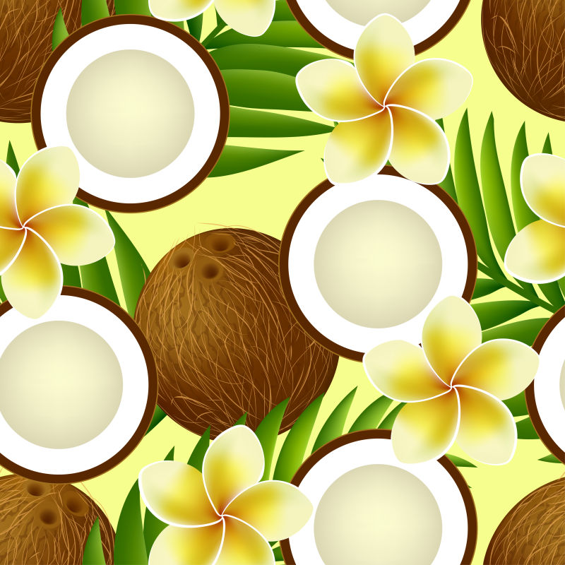 创意矢量椰子的平面插图