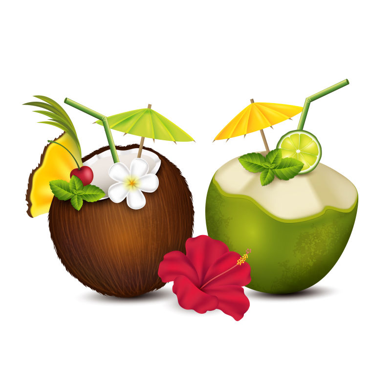 矢量两种不同的椰子插图