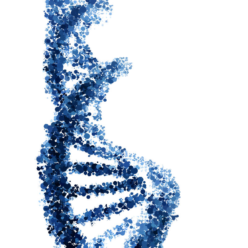 矢量螺旋DNA分子