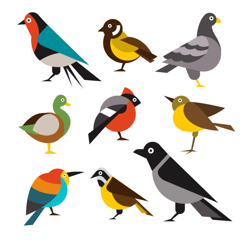 矢量卡通风格的鸟类插图