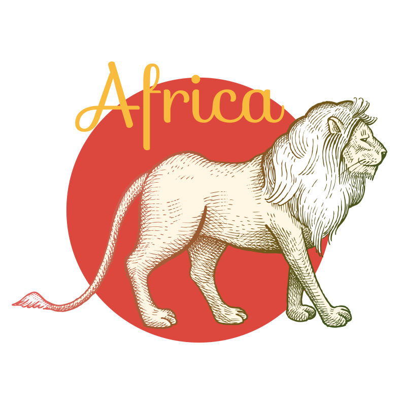 矢量非洲狮子插图