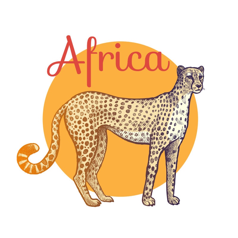 创意矢量非洲猎豹插图