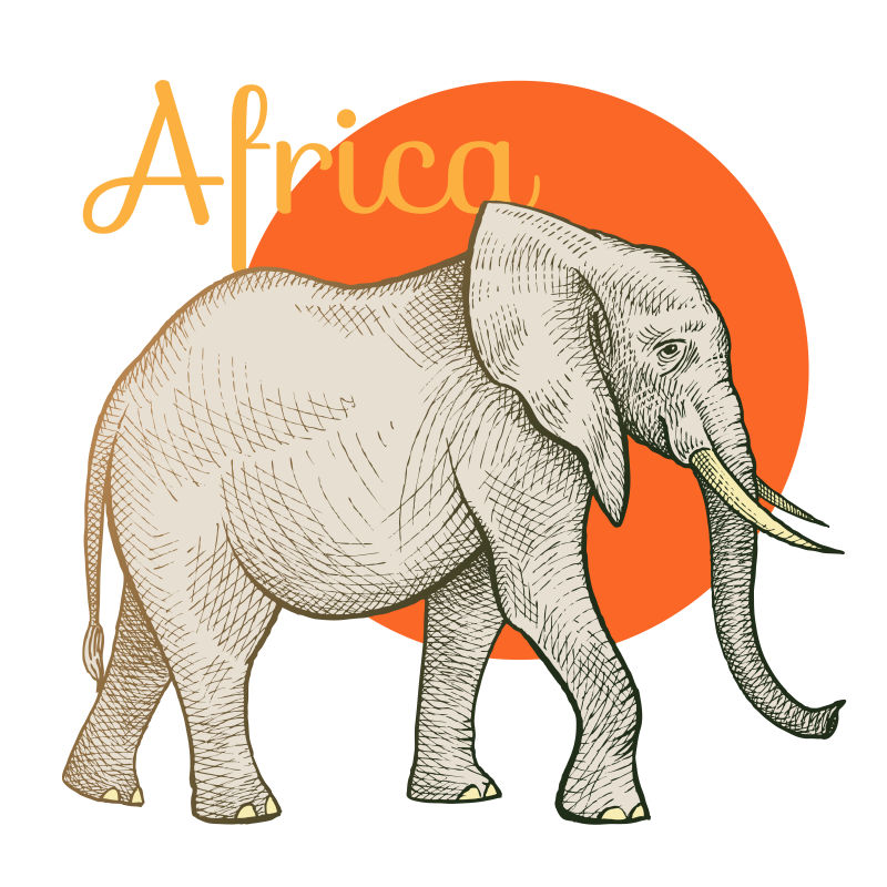矢量非洲大象插图