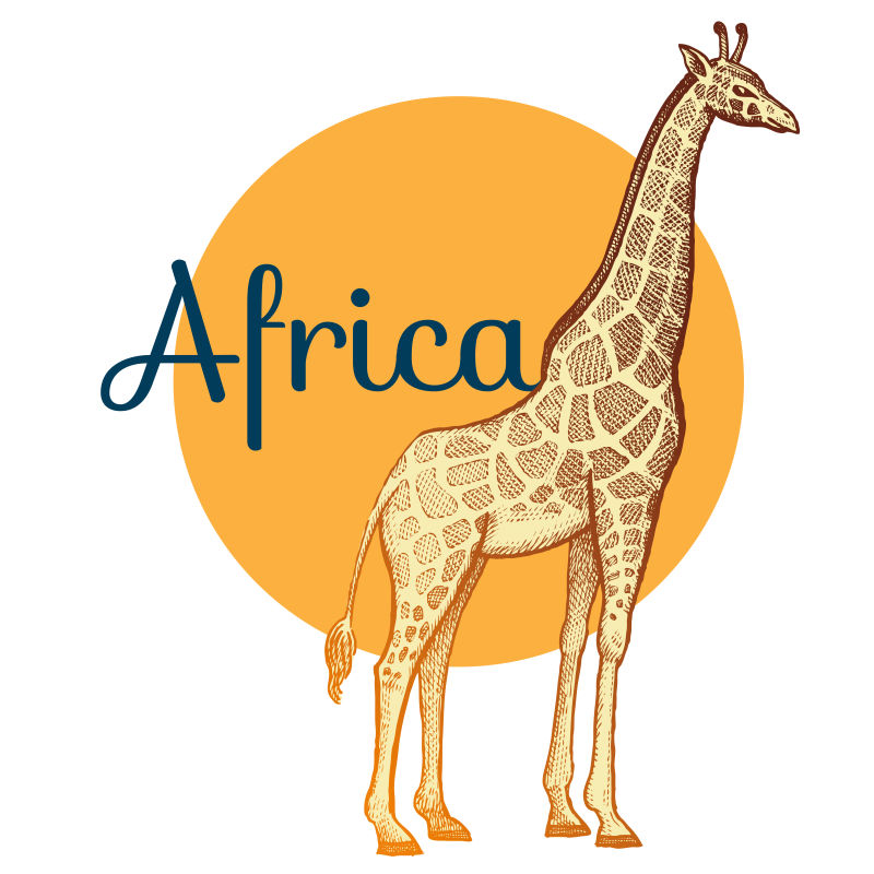 矢量非洲长颈鹿插图