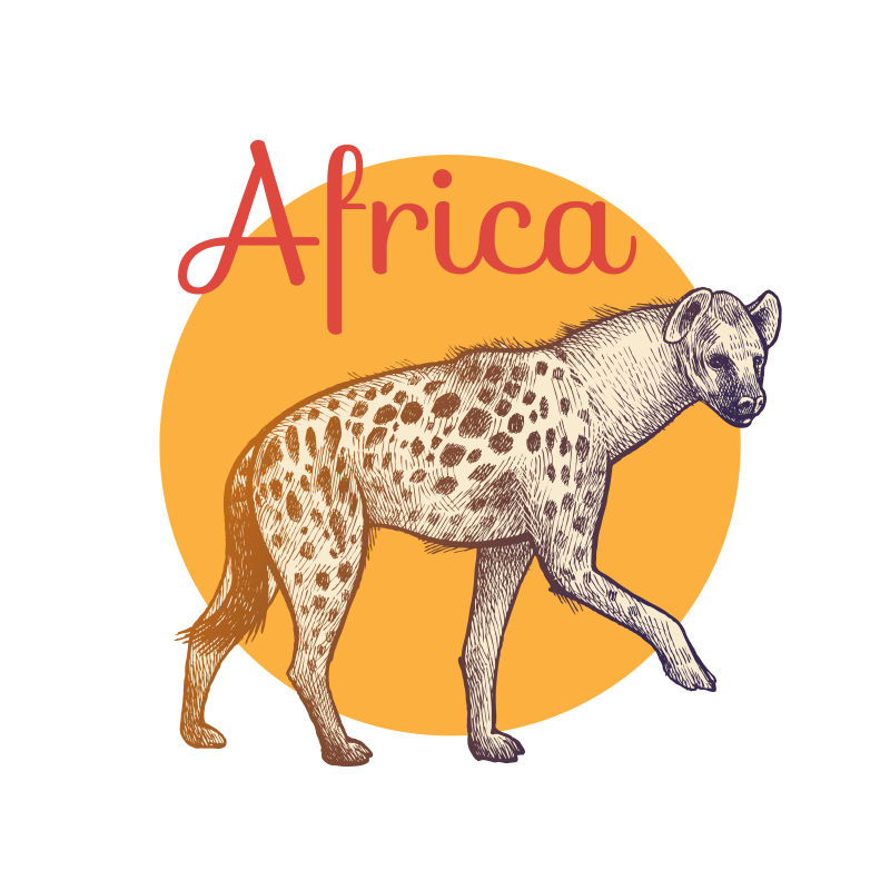 矢量非洲鬣狗插图