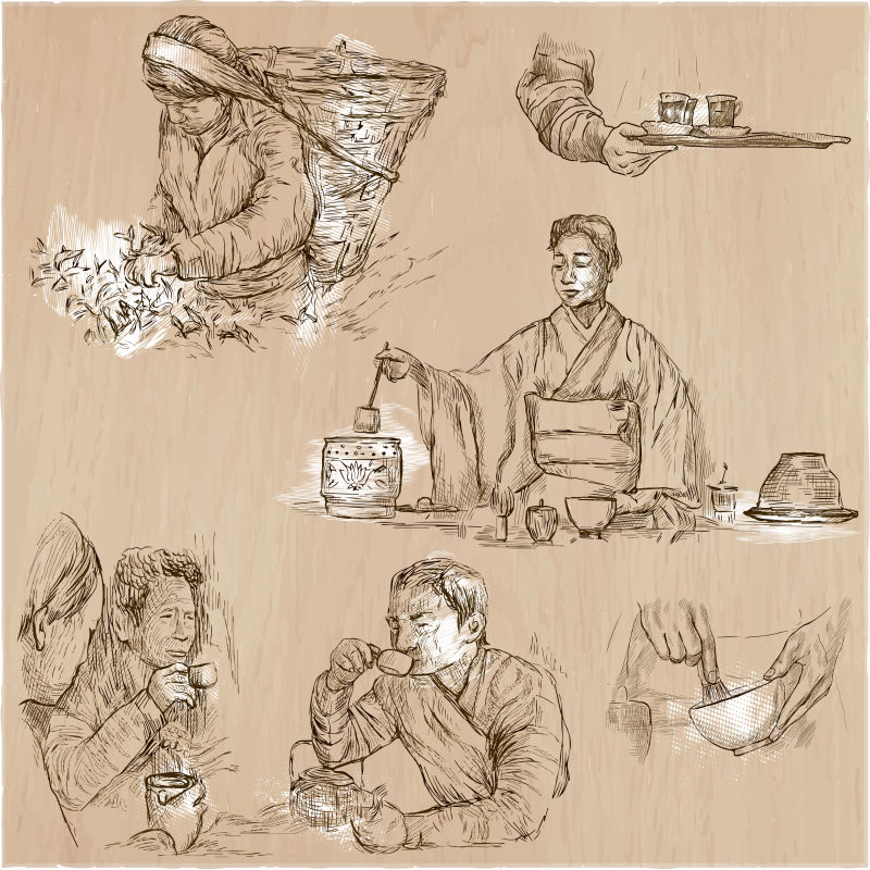 手绘茶叶文化矢量插图