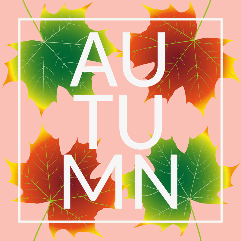 彩色的秋叶插图矢量设计