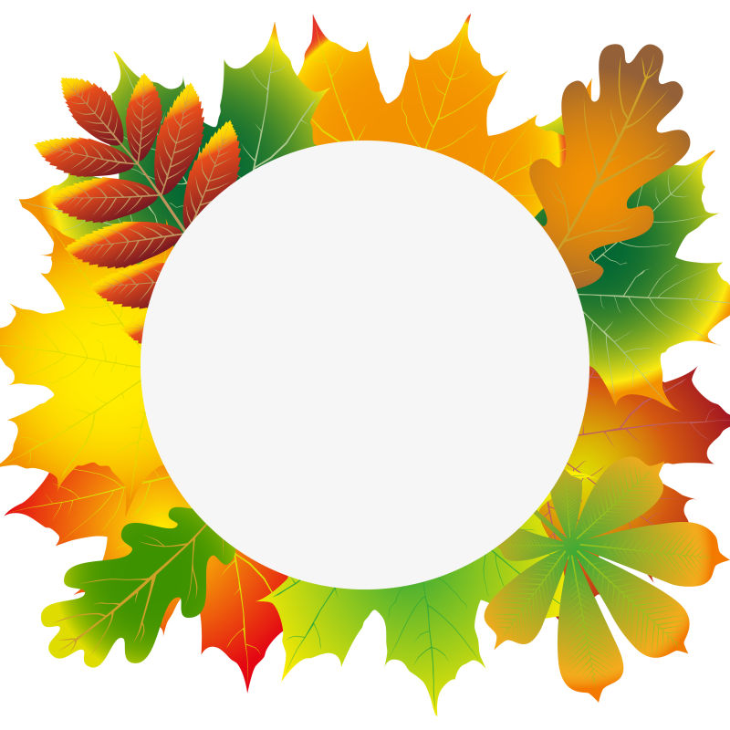 矢量的彩色秋叶边框设计