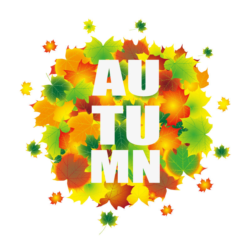 矢量彩色的秋叶插图