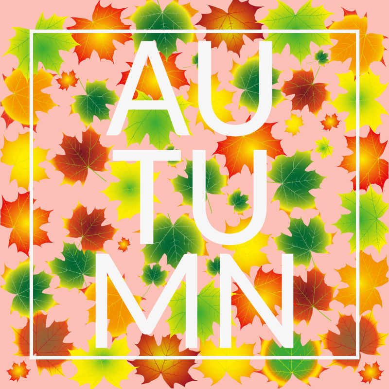 矢量的彩色秋叶插图设计