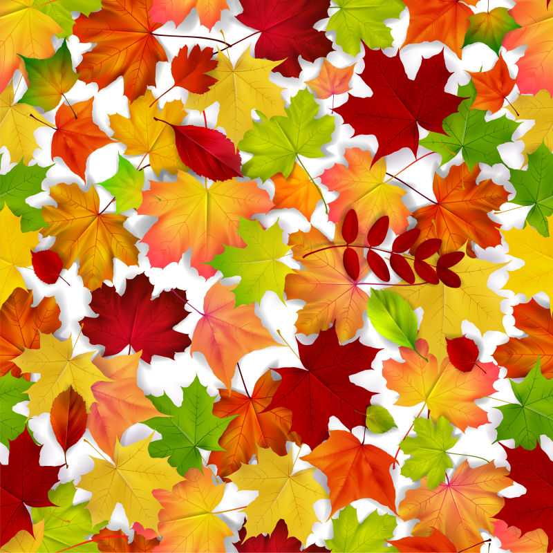秋天的落叶图案矢量背景设计